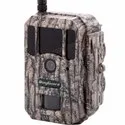 White Flash Camera Traps